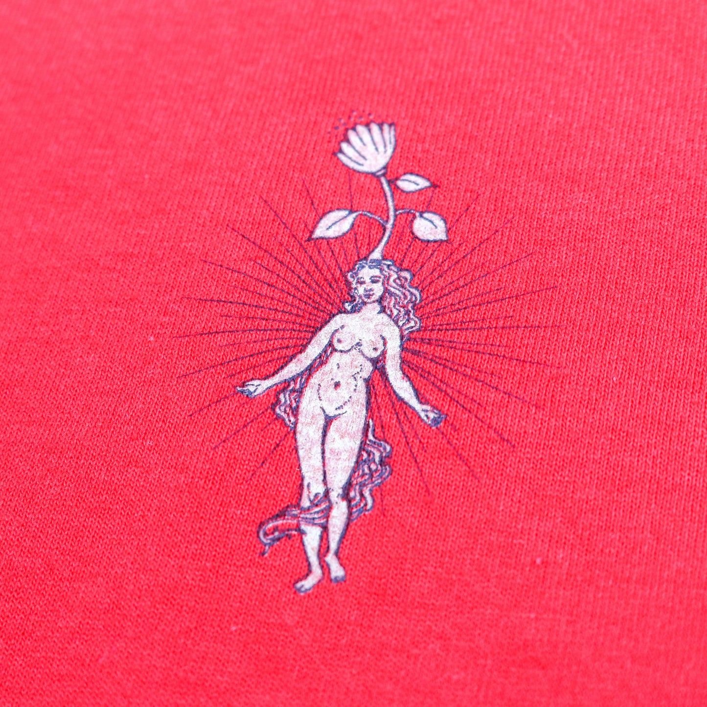 LILITH FAIR CREW SINGLE STITCH T-SHIRT